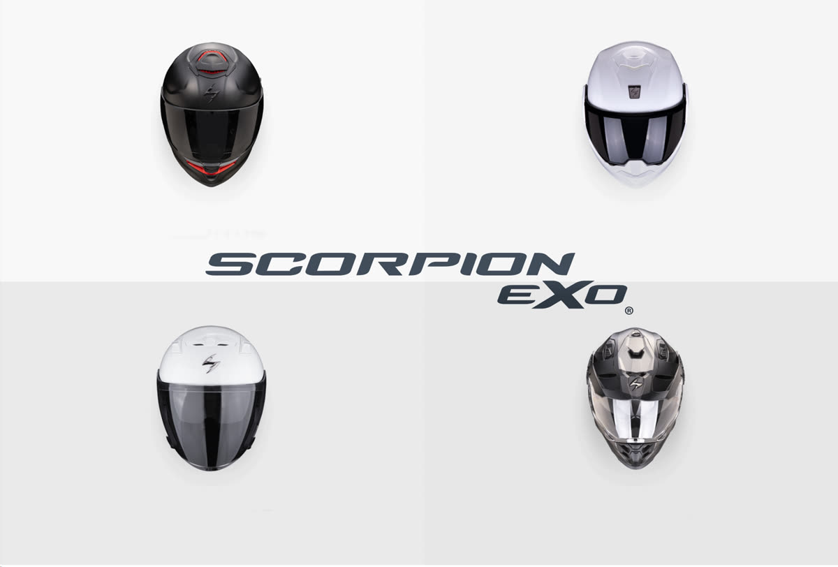 Scorpion
